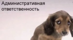 НОВЫЙ МЕМ