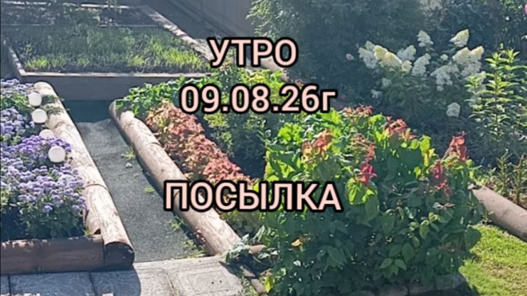 УТРО 09.08.26🤔 ПОСЫЛКА ДЛЯ ДОЧЕРИ😁🥒🌶️🍅