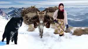 Деревенский образ жизни в Иране. Потрясающая кухня и катание девушки на ослике. Иранская деревня