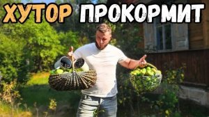 В лесу в окружении врагов! Хутор прокормит, но нужно потрудиться.