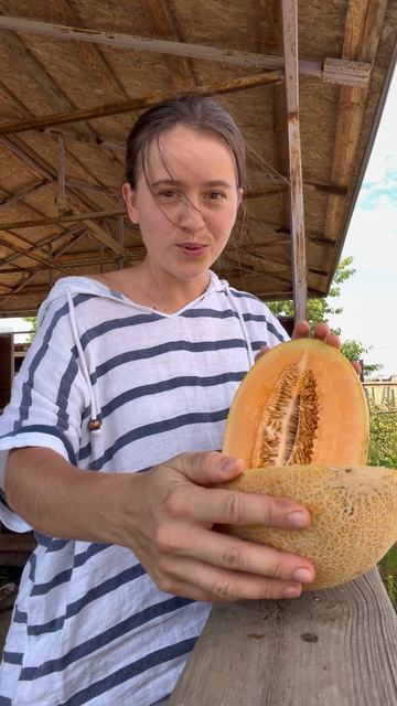 Мои дыньки