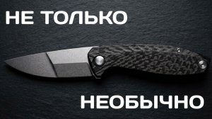 Echo Homu: громкое ЭХО CKF