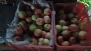 Дождь нарушил все мои планы