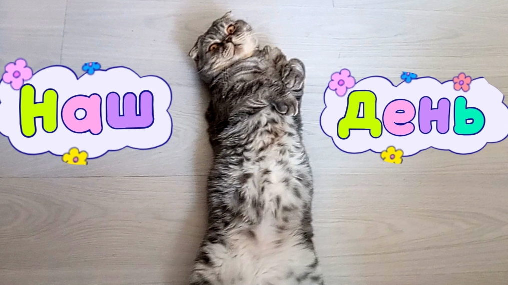 БОЛТУШКИ-ПОКАТУШКИ😄НАШЕ ВОСКРЕСЕНЬЕ 😍