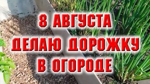 8 августа. Сделала дорожку между грядок. Размышляю о пересадках в саду