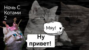 Я играю ночь с котами 2. 🙀🙀🙀