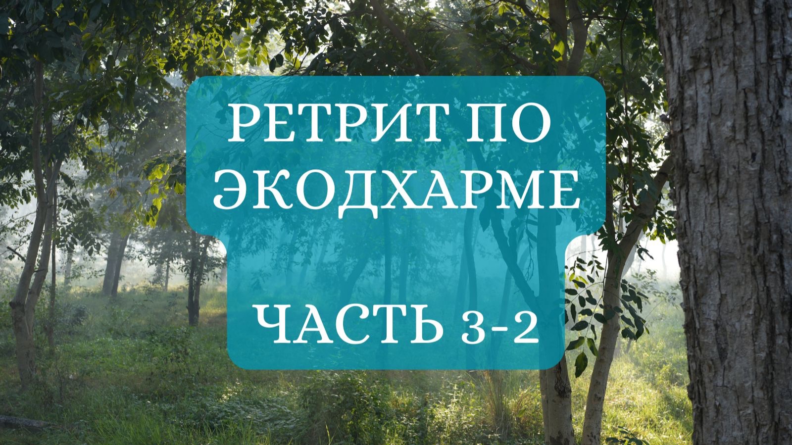 Ретрит по ЭкоДхарме - 3-2