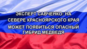 |Н. РФ| Эксперт Савченко: на севере Красноярского края может появиться опасный гибрид медведя