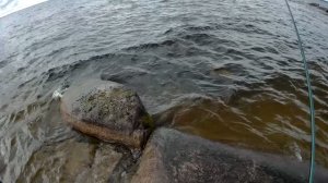 Ловля Хариуса с берега на озере Пяозеро (север Карелии)