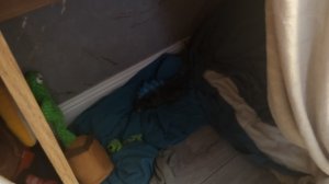 построил домик под столом