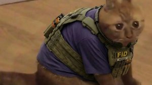 копирка эволюция браинрот