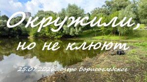 Окружили, но не клюют. 25.07.2026. Озеро Борисоглебское. Рыбалка в Подмосковье.