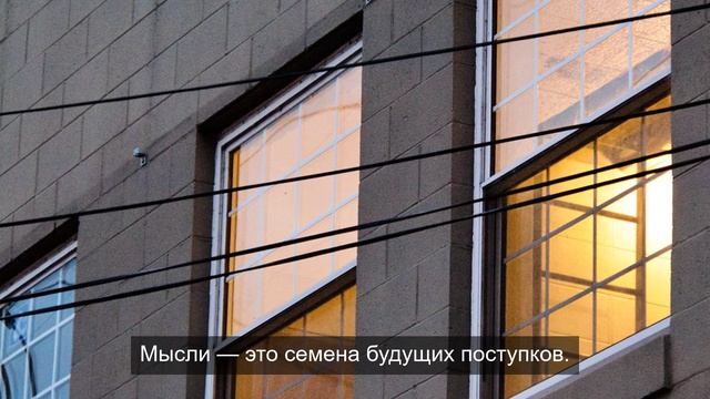 Жизненный путь тяжелого цветка 13