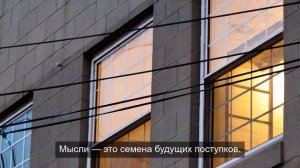 Жизненный путь тяжелого цветка 13