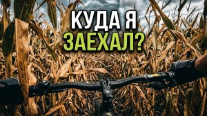 ГДЕ ВЫХОД? Заблудился в бескрайних полях.