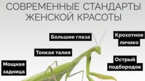 НА МОЕМ КАНАЛЕ СТУКНУЛО 200 ПОДПИСЧИКОВ!