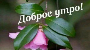С добрым солнечным утром. Роскошная музыкальная открытка.