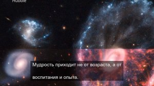 Прерасное цветение цветов 20