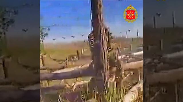 Ликвидация живой силы ВСУ. Война дронов.