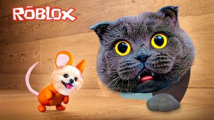 ЛОВЛЮ МЫШЕК с ПУШИСТЫМ ГЕЙМЕРОМ, чтобы ВЫЖИТЬ в ROBLOX | ПРЯТКИ Кошки vs Мышки в Роблокс
