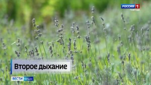 9 августа отмечается Международный день коренных народов
