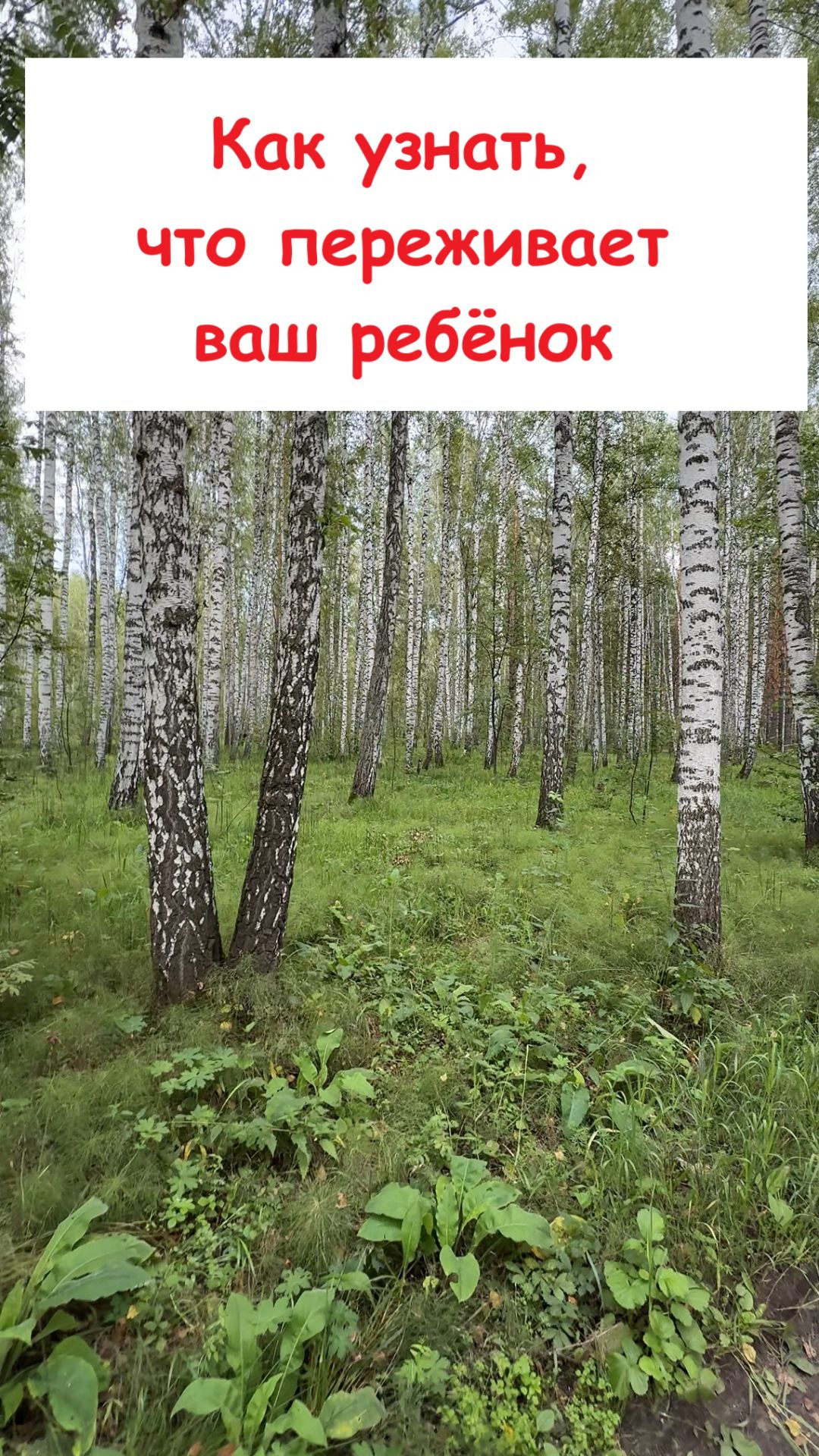 Чувства близких людей #видео #чувства  #близкиелюди