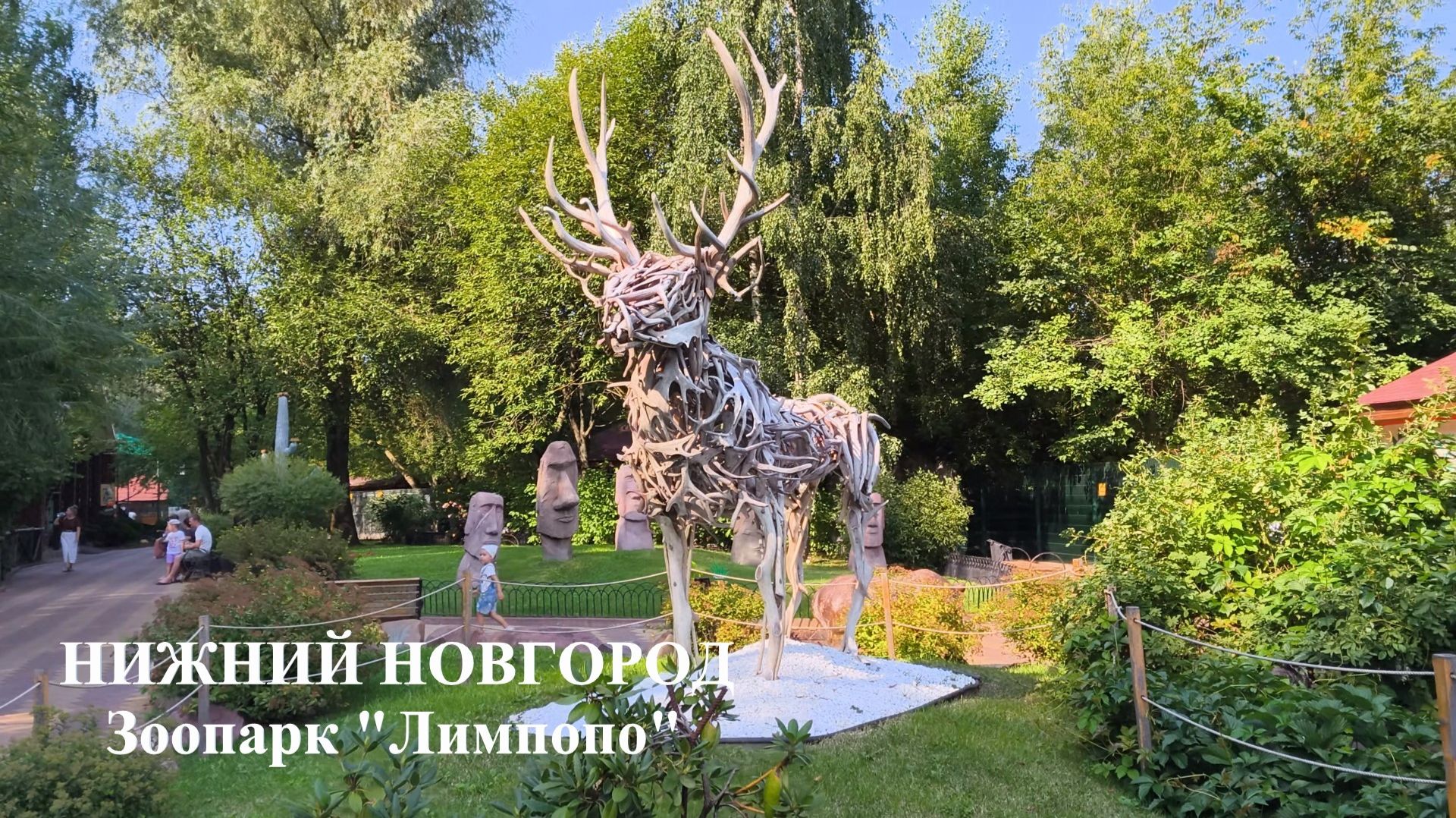 Нижний Новгород 02 августа 2026 года Зоопарк 