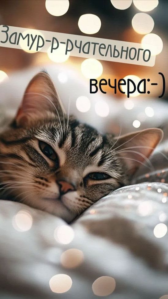 Открытка с добрым вечером — короткое пожелание для близких 🌙