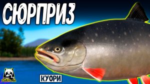 Проявить терпение и будет крупный сюрприз #рр4