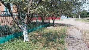 Гостинцы от соседки.🛍 Опять сборка кизила. Юг России 🌴