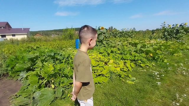 Жизнь НА пенсии в Деревне.