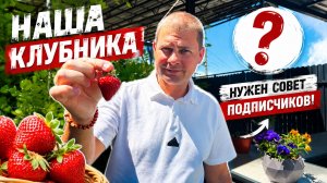 Влог ! Что с клубникой в этом году ! Уборка на террасе ! Нужен ваш совет