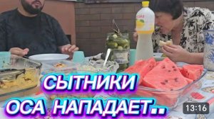 САМВЕЛ АДАМЯН, СЫТНИКИ, ОСА НАПАДАЕТ..