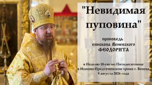 Невидимая пуповина. Епископ Веневский Феодорит