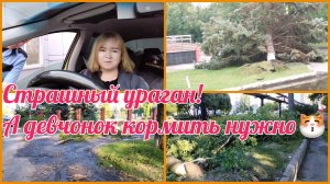 Не перестаю удивляться!Мои вы хорошие 🥰