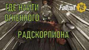 Fallout 76 Где найти огненного радскорпиона