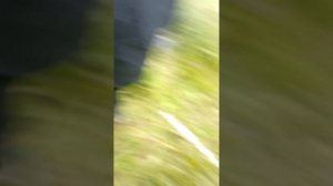 1000010358.mp4