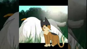 топ 5 фактов про котов воителей☆листопадовая тень☆