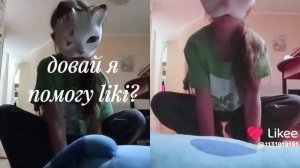 В простую кошку воина liking влюбился вожак alik