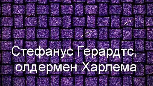 Стефанус Герардтс, олдермен Харлема.Франс Хальс,описание KMSKA,Королевский  музей  Антверпена