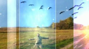 Альбом « Ищу покой среди лугов»  (видео)