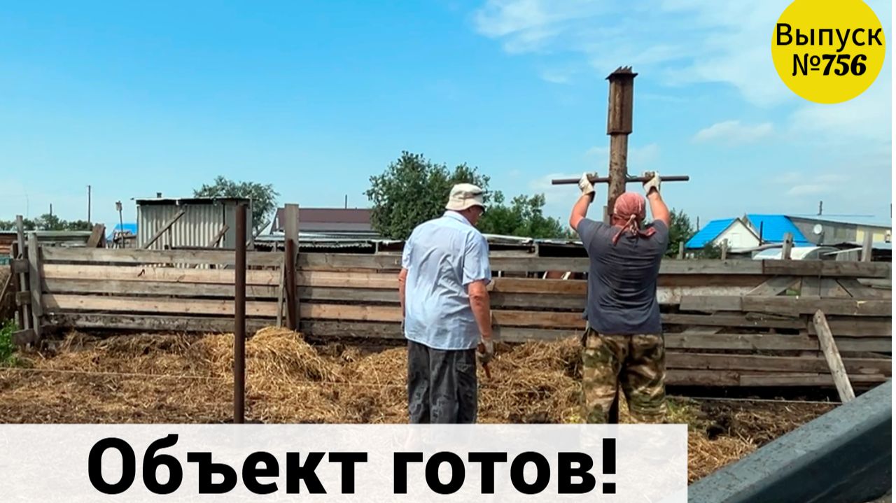 Дожди не помеха. Заканчиваем с тестем объект. Больших быков можно сдавать. Жизнь в Омской деревне.