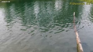 Покидушки мормышек на спиннинге Fario NT Morm 1.8м 0.5-2г и катушкой Ryobi Spiritual DX500 29.07.26