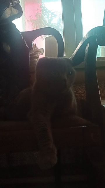 Нона