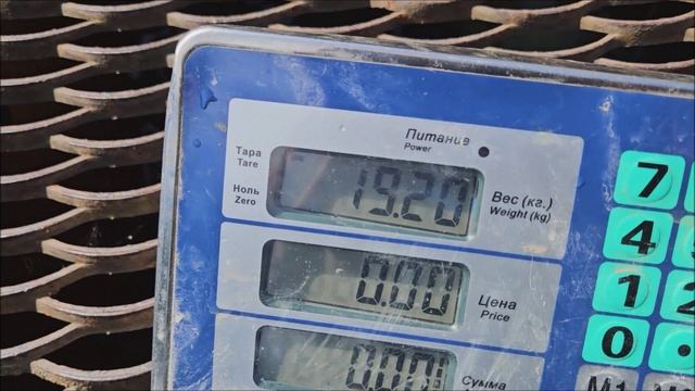 Запуск 100кг осетра в Нижний пруд. Клёвое место лосиный остров.
