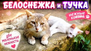 Белоснежка и Тучка — два нежных сердечка ❤️