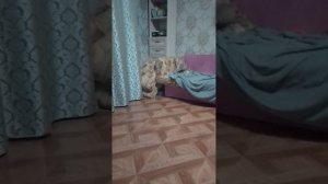 1000027970.mp4