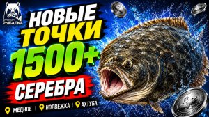 🤑 ТОП-3 ТОЧКИ ФАРМА и РАЗДАЧИ ТРОФОВ РР4 (09.08)! СВОДКА по ВОДОЕМАМ! МЕДНОЕ • НОРВЕЖКА • АХТУБА