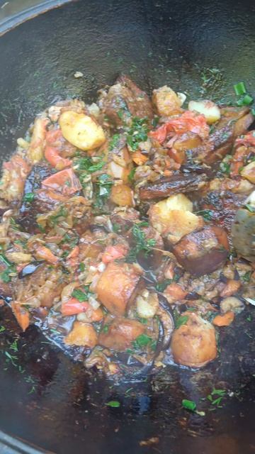 Мясо с овощами на костре!!!