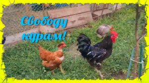 Ейск🌹Свободу, дайте нам свободу! Ремонт. Море. Заготовки.